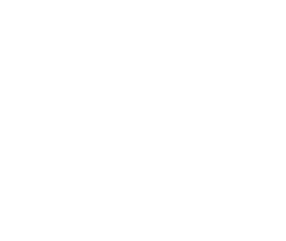vision